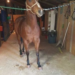 Meet your Posher, Jorge